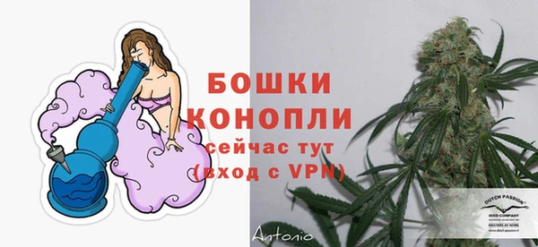 ПСИЛОЦИБИНОВЫЕ ГРИБЫ Лиски