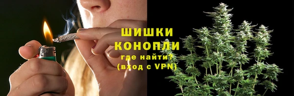 ПСИЛОЦИБИНОВЫЕ ГРИБЫ Лиски