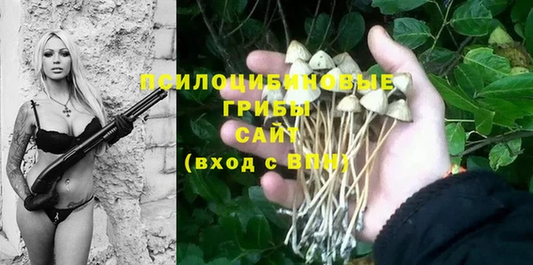 герыч Алзамай